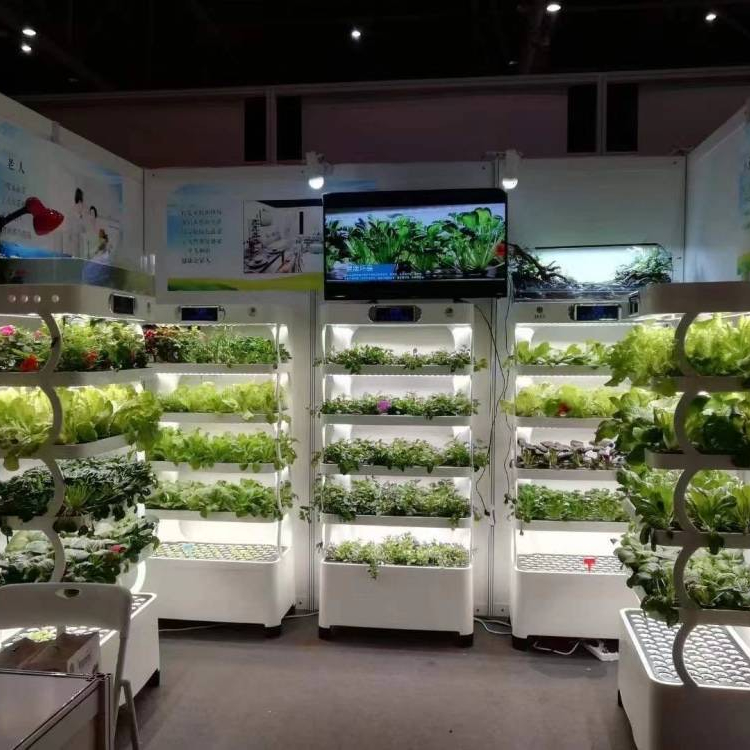Intelligent Hydroponisch Kweek - Smart Home Uses recensie en prijs