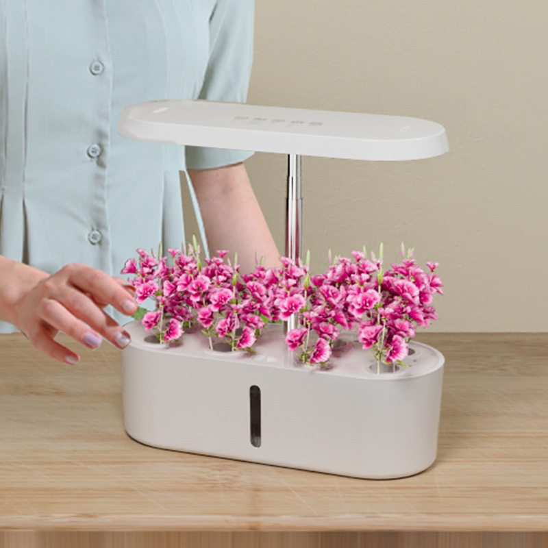 Slimme Hydroponische Groentekw - Smart Home recensie en prijs