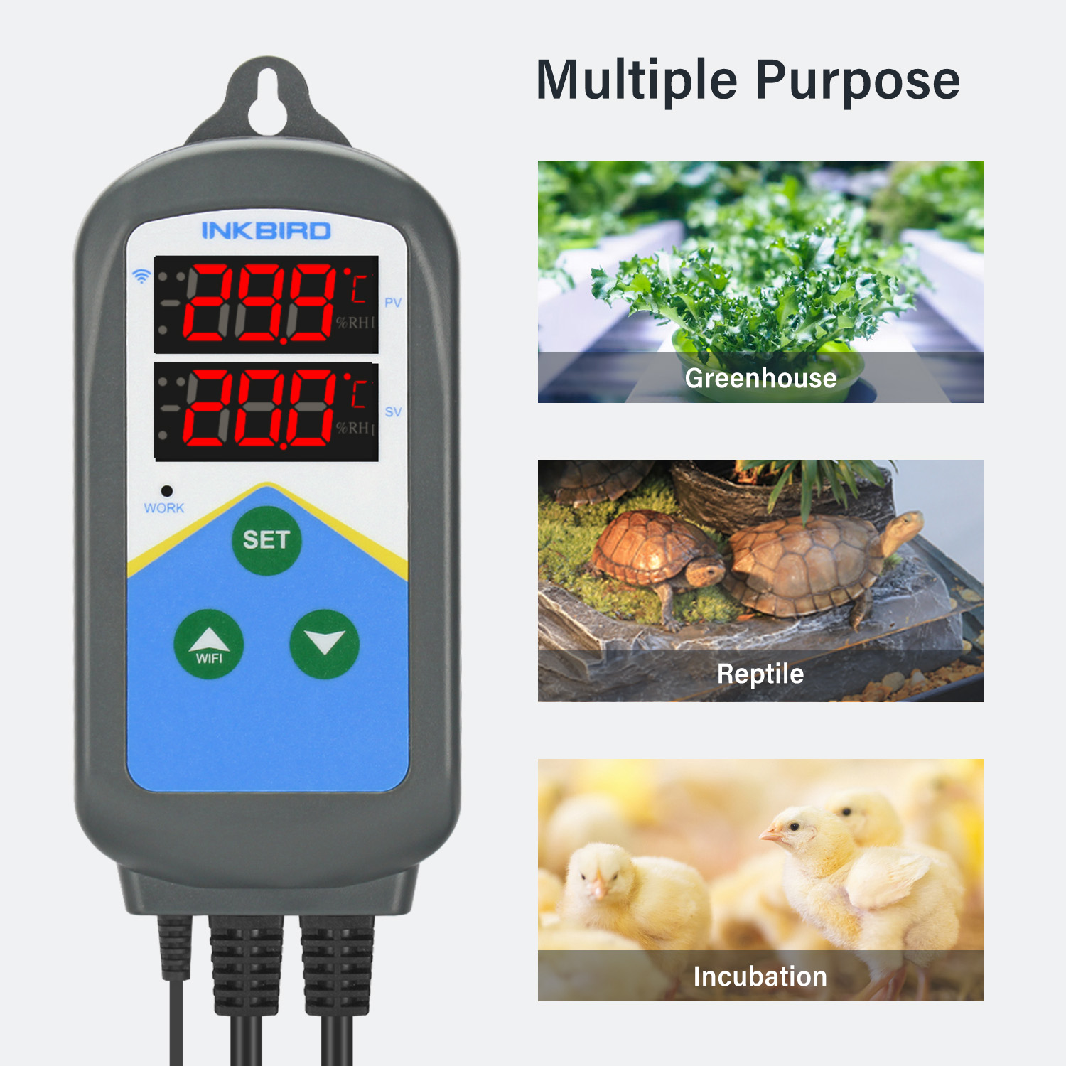 Inkbird Wifi Thermoregulator I - Wifi Thermostat recensie en prijs