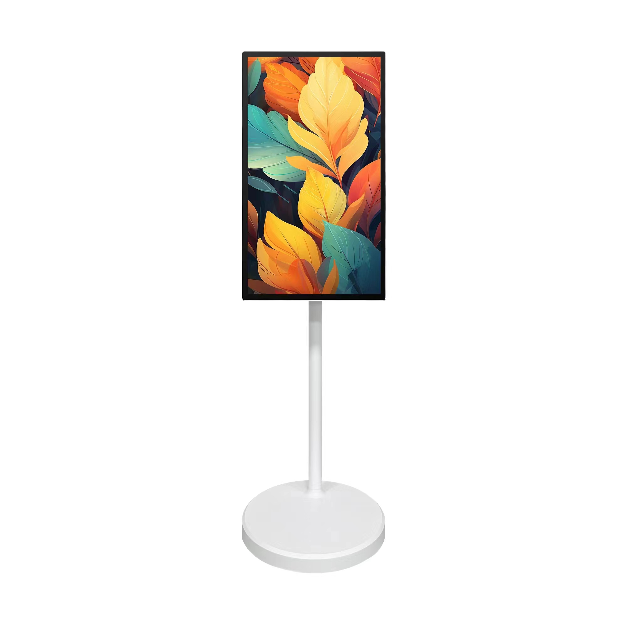 32-inch draagbare touchscreenm - Smart Home recensie en prijs